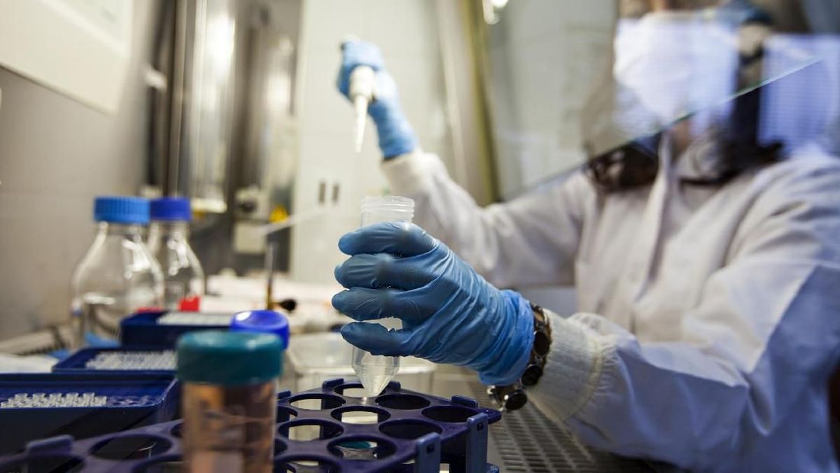 Dosen UGM Praktik Terapi Stem Cell Ilegal Berkedok Dokter Hewan