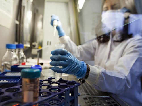 Dosen UGM Praktik Terapi Stem Cell Ilegal Berkedok Dokter Hewan