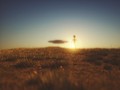 Selama Pandemi Covid-19, Diklaim Ada 300 Penampakan UFO di AS