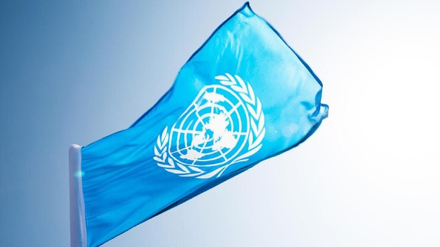 Komite HAM PBB Soroti Putusan MK soal Gibran-Intimidasi Oposisi RI