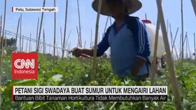 VIDEO: Petani Sigi Swadaya Buat Sumur untuk Mengairi Lahan