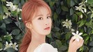 6 Artis Korea Bernama Jimin yang Bikin Fans Jatuh Hati 6 artis terkenal bernama Jimin ini memiliki karier yang bersinar di industri musik Korea Selatan. Siapa saja mereka?