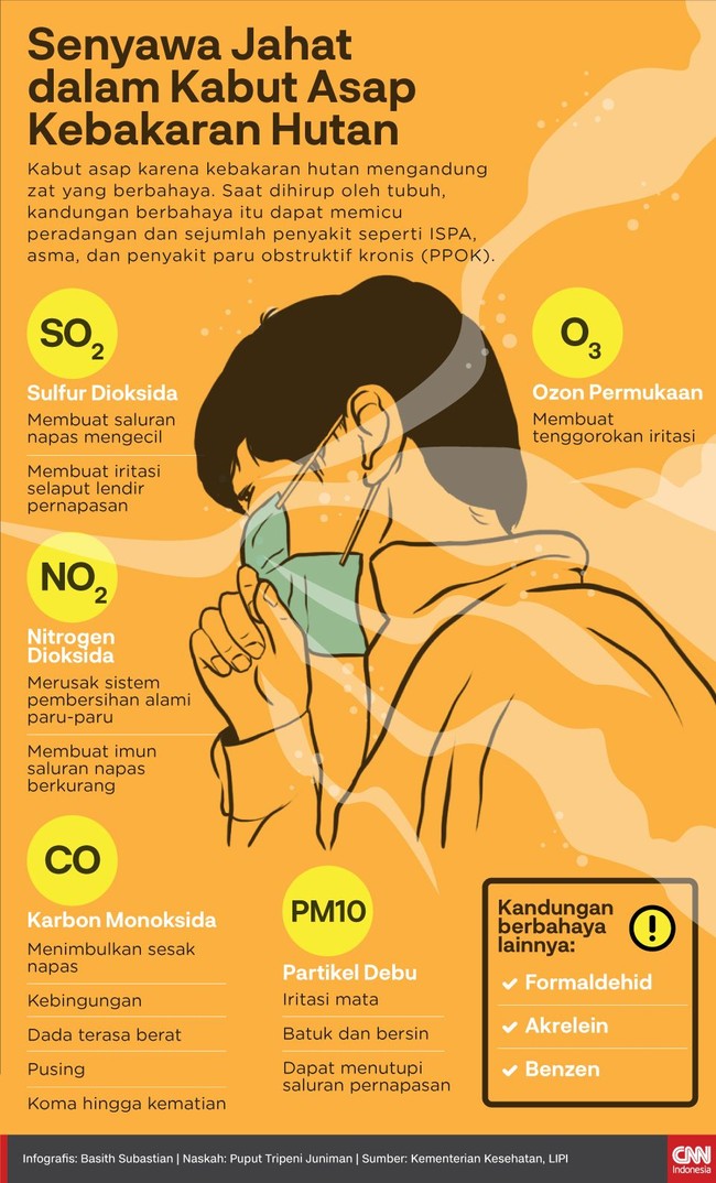 Kabut asap karena kebakaran hutan mengandung zat berbahaya yang berpotensi menyebabkan berbagai penyakit.