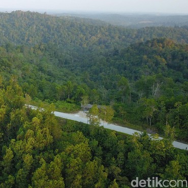 Kalimantan Timur Dipilih Jadi Ibu Kota Baru RI, Begini Lokasinya