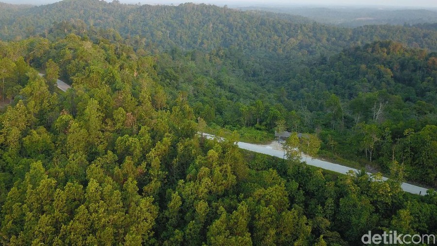 Lokasi ibu kota negara yang baru di Kabupaten Penajam Paser Utara (PPU) dipastikan akan di kelilingi oleh hutan. Hijau dan asri, beginilah penampakannya.