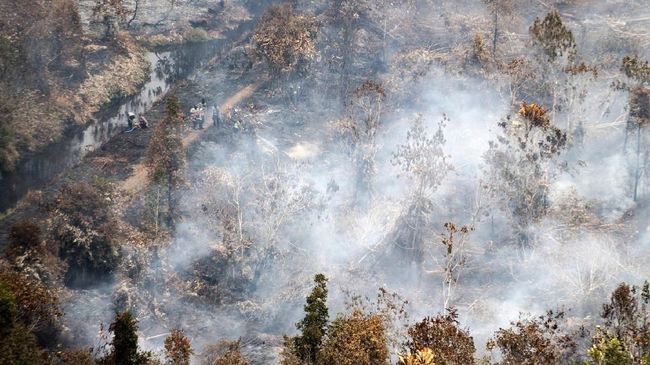Hujan Buatan Berhasil Turunkan Titik Api di Kalimantan Hujan dengan intensitas ringan hingga berat mengguyur di sebagian wilayah terdampak karhutla di Kalimantan