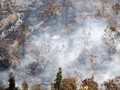 Harta Karun Kerajaan Sriwijaya Bermunculan di Lahan Karhutla