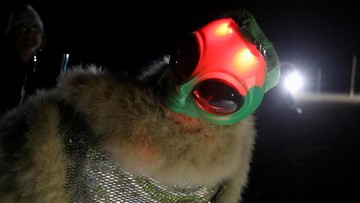 Para peserta yang mengenakan pakaian luar angkasa dan kostum bertema alien sat 'storm' Area 51. (REUTERS / Jim Urquhart) Attendees wear space travel and alien themed costumes as an influx of tourists responding to a call to 'storm' Area 51, a secretive U.S. military base believed by UFO enthusiasts to hold government secrets about extra-terrestrials, is expected in Rachel, Nevada, U.S. September 19, 2019. REUTERS/Jim Urquhart TPX IMAGES OF THE DAY
