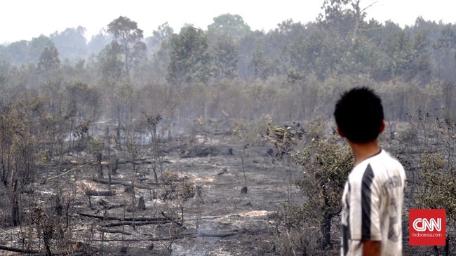 Walhi mengingatkan pemerintah mengenai putusan pengadilan, mendorong perbaikan tata kelola berkaitan penanggulangan karhutla.