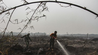 Hutan yang Terbakar di Semeru Mencapai 198 Hektare