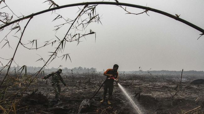 BNPB Sebut PSBB Turut Kurangi Karhutla Petugas Badan Penanggulangan Bencana Daerah (BPBD) Kota Pekanbaru dibantu prajurit TNI berusaha memadamkan bara api kebakaran lahan gambut yang terjadi di Kecamatan Siak Hulu, Kabupaten Kampar, Riau, Selasa (10/9/2019). Kebakaran lahan yang masih terus terjadi dibeberapa wilayah di Provinsi Riau membuat jarak pandang di Kota Pekanbaru menurun disertai kualitas udara yang memburuk akibat terpapar kabut asap. ANTARA FOTO/Rony Muharrman/aww.