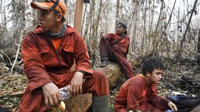 FOTO: Mereka yang Berjuang Padamkan Api di Tengah Kabut Asap