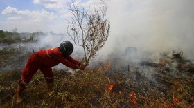 BMKG Catat Ribuan Titik Panas Turun Drastis