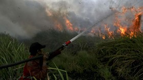 Karhutla akan Terus 'Hantui' Indonesia