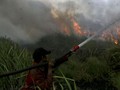 Karhutla akan Terus 'Hantui' Indonesia