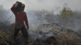 Perusakan Hutan Jadi Sumber Penyakit Hingga Pandemi