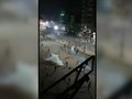 VIDEO: Detik-detik Bentrok Polisi dan Warga di Mesir