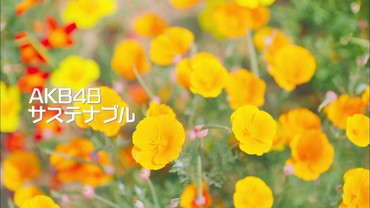 Sustainable, Lagu ke-56 AKB48