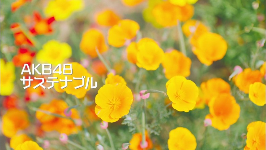 AKB48 merilis lagu single ke-56 yang berjudul Sustainable.