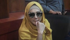 Arteria Dahlan di Komisi Hukum, Mulan Jameela Komisi Energi