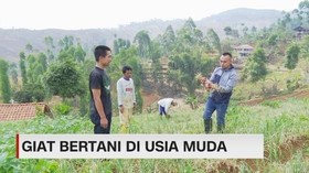 VIDEO: Giat Bertani di Usia Muda
