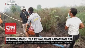 VIDEO: Petugas Karhutla Kewalahan Padamkan Api