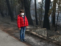 Kabut Asap Selimuti Sebagian Wilayah Sumut Hari Ini, Jarak Pandang Tersisa 1 Km