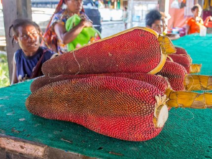 7 Manfaat Buah Merah Khas Papua, Bagus untuk Kesehatan Tubuh