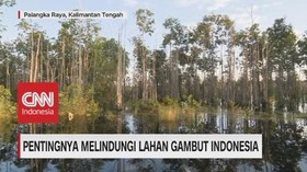 VIDEO: Gambut, Warisan Berharga Indonesia