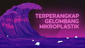 Terperangkap Gelombang Mikroplastik