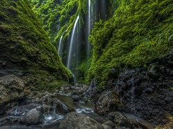 5 Air Terjun di Probolinggo, Salah Satunya Tertinggi di Jawa Timur