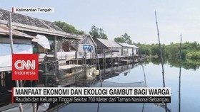 VIDEO: Lahan Gambut Untuk Ekonomi Berkelanjutan