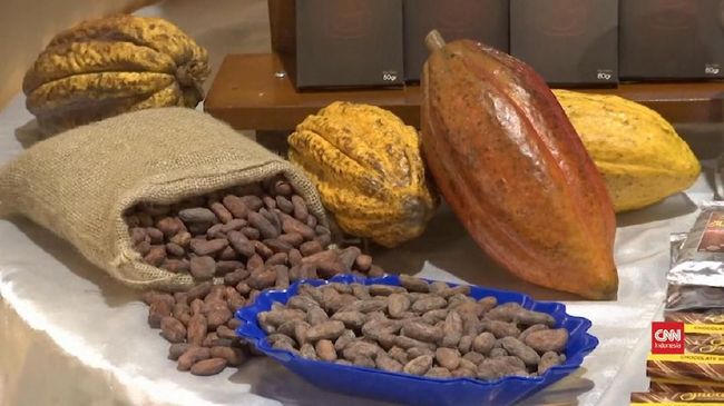 Jokowi Akan Bentuk Badan Khusus untuk Urusi Kakao dan Kelapa