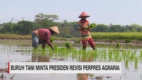 VIDEO: Buruh Tani Minta Presiden Revisi Perpres Agraria