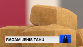 VIDEO: Ragam Jenis Tahu