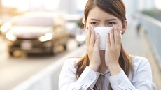 10 Besar Provinsi Paling Ketiban Beban Polusi Udara, di Luar Prediksi