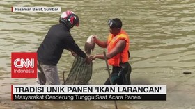 VIDEO: Tradisi Unik Panen 'Ikan Larangan'