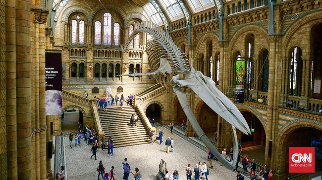 Natural History Museum, London, Inggris. (CNNIndonesia/Ardita Mustafa)