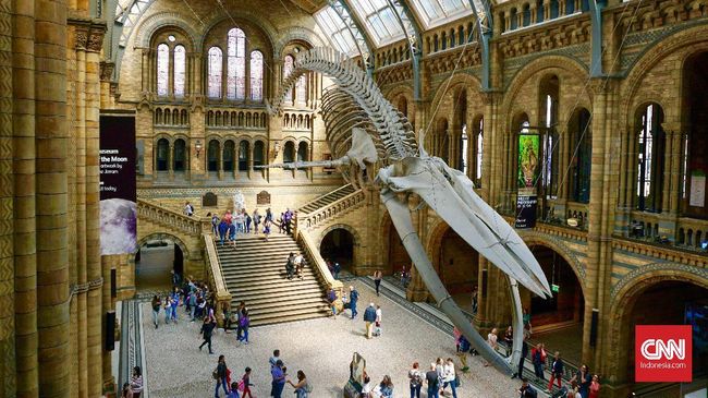 Natural History Museum, London Natural History Museum, London, Inggris. (CNNIndonesia/Ardita Mustafa)