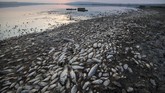 NYALANG: Syair Nestapa Ibu Bumi Dalam foto-foto unik pilihan CNNIndonesia.com pekan ini, ada ikan-ikan mati di Yunani dan aksi demonstrasi menyuarakan kerusakan lingkungan.