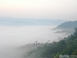 Maaf, Negeri di Atas Awan Gunung Luhur Masih Tutup
