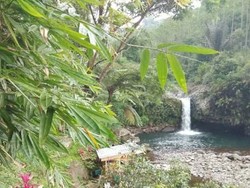 Pesona Curug Bayan di Banyumas, Lokasinya di Pinggir Jalan