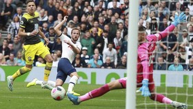 5 Catatan Penting Jelang Southampton vs Tottenham di Piala FA