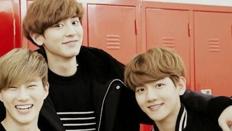 Ketiga anggota EXO menuliskan pesan rasa kecewa dan prihatin dengan perilaku EXO-L di bandara.