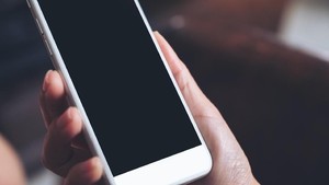 Cara Simpan File Whatsapp ke Memori Card Agar HP Tak Lambat