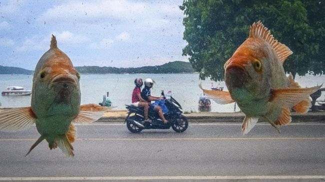 Gerbang pariwisata Thailand yang belum terbuka dengan lebar akibat pandemi virus corona membuat Phuket kehilangan turis dan kini seperti kota hantu.