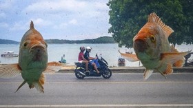 Tahun Lalu Dikunjungi 9 Juta Turis, Kini Phuket Kota Hantu