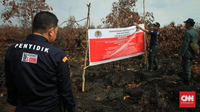 Dirjen Gakkum KLHK mengatakan total lahan delapan perusahaan disegel terkait kebakaran hutan dan lahan (karhutla) itu mencapai 8.400 hektare.