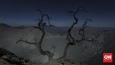 FOTO: Melangkah di Punggung Ijen Fenomena api biru atau blue fire membuat turis domestik dan mancanegara rela melakukan pendakian ke Kawah Ijen sejak dini hari.