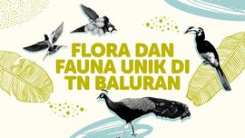 INFOGRAFIS: Flora dan Fauna Unik di TN Baluran